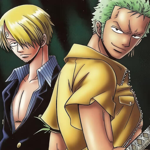sanji & zoro